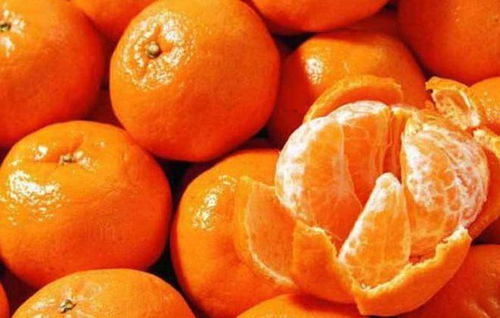 2020年,这些柑橘的市场前景比较好,别再盲目猜测了